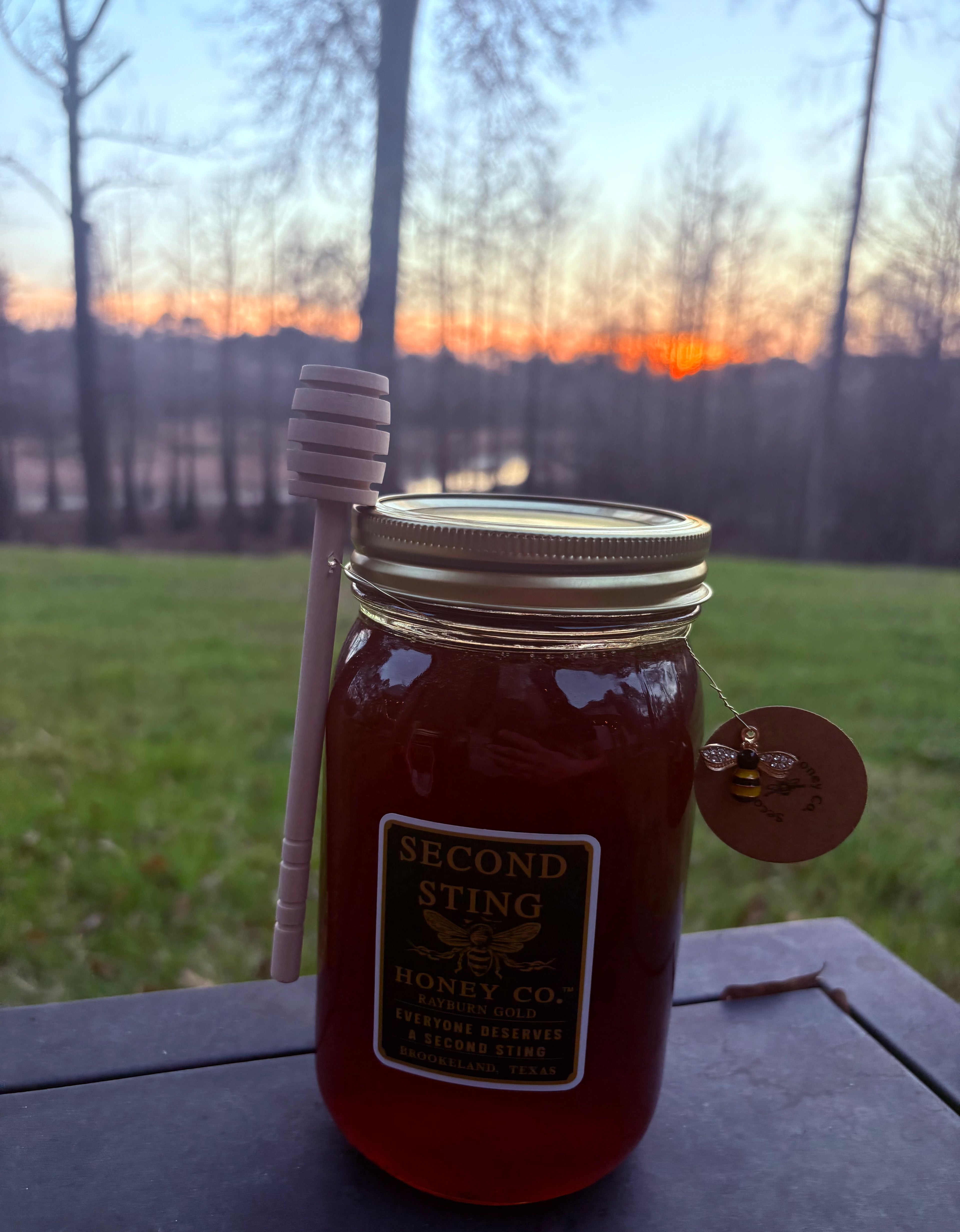 Sting Jar